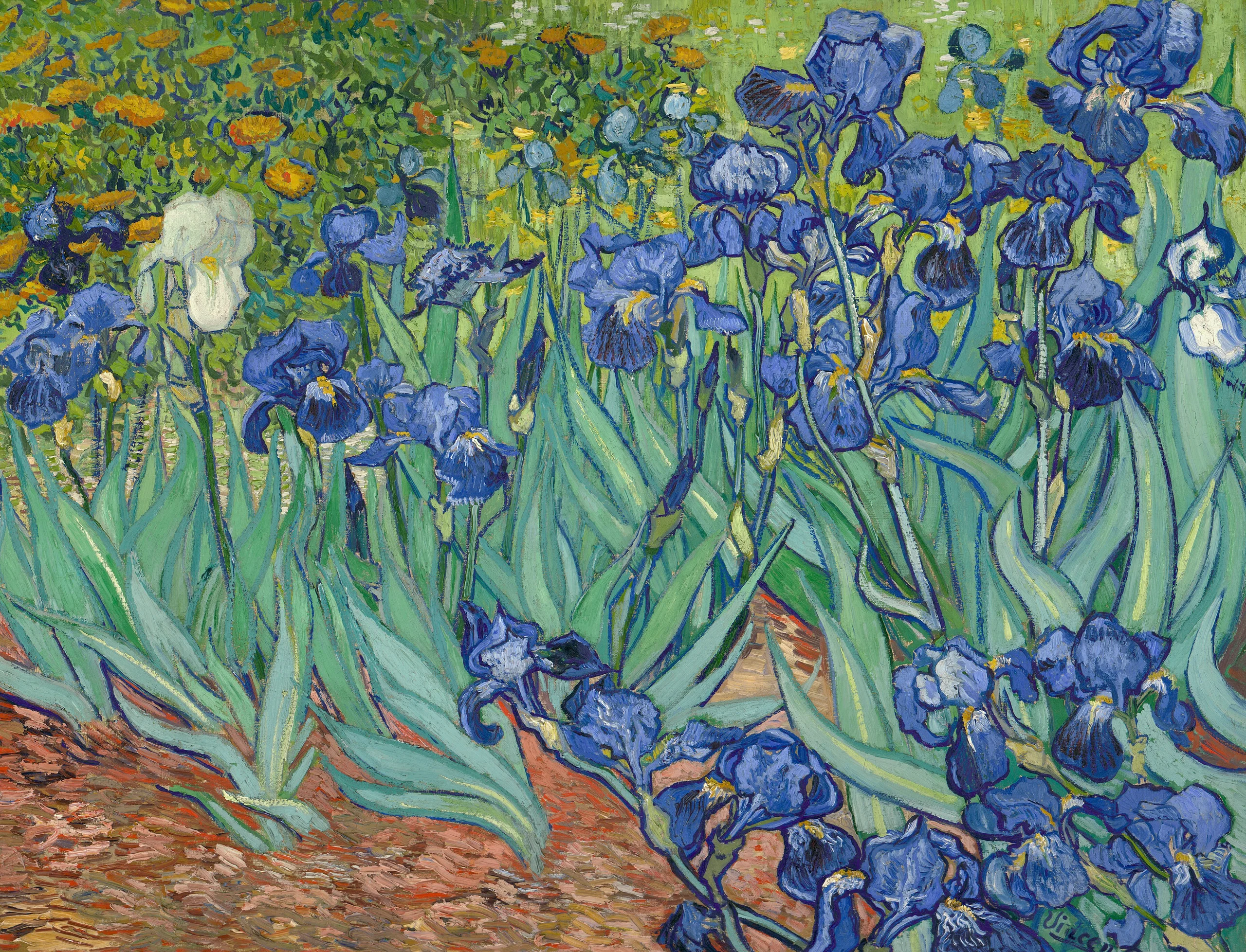 Irises, Vincent van Gogh, 1889
